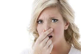 Musty Smell In The Basement 10 Tips To