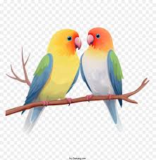 love birds png 4096 4096