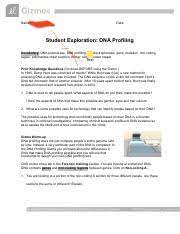 Learn how dna is compared to identify individuals. Dna Profiling Gizmo Answers Quizlet Kaitlyn Perotti Dna Profiling 2020 Gizmo Worksheet Pdf Explorelearning Com 1 Katie Perotti Ap Bio Period 3 Student Exploration Dna Profiling Please Course Hero Fill