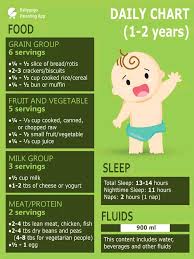 Diet Chart Fory 9 Months Old Baby Boy