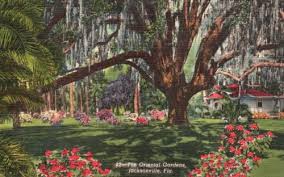 Vintage Postcard The Oriental Gardens