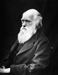 Darwin e la teoria dell'evoluzione. Charles Darwin Wikipedia
