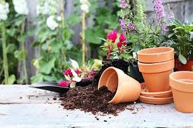 garden soil vs potting soil why it matters