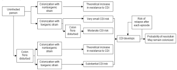 Figure 1 Pathogenesis Of Cdi Effectiveness Of Early