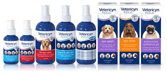 treat 4 common canine skin injuries