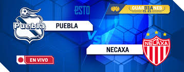 Home football mexico liga mx puebla vs necaxa. Dlj3v S4vauz8m