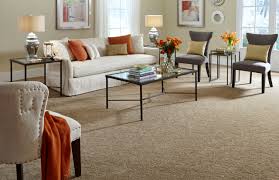 75 beautiful brown carpet home design