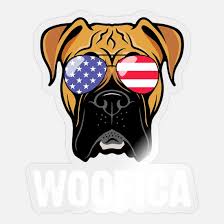 boxer dog american flag sungles 4th