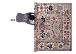 professional rug cleaning services in