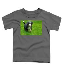 Bernese Mountain Dog Puppy Running 2 Toddler T Shirt