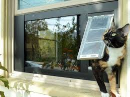 Cat Flaps Installation Into Windows