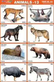 Details About Animals Chart For Childrens Early Learning Chart Education Poster Wall Chart