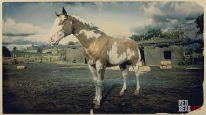Overo American Paint Horse Rdr2