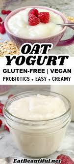 make oat milk yogurt instant pot