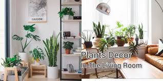 plant decor direction for your living