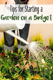 Frugal Gardening Tips How To Start A