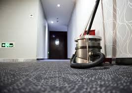 exotic cleaning service and more care