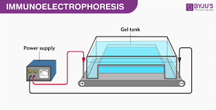 electropsis principle