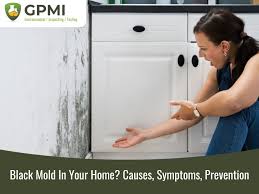 black mold in your home causes