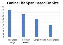 54 Veritable Dog Longevity Chart