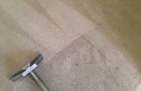 act carpet cleaning bakersfield ca 93313