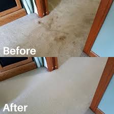 fresh n dry carpet cleaning