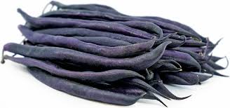 purple beans information and facts