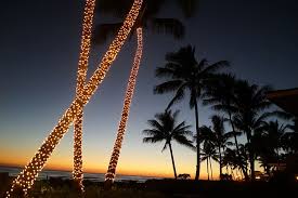 Check spelling or type a new query. Hd Wallpaper United States Koloa Poipu Beach Palm Tree Kauai Christmas Light Wallpaper Flare