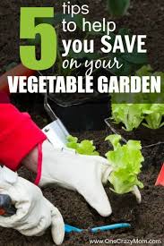 Save Money In The Vegetable Garden