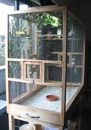 Build Cage Flight Cage Bird Aviary