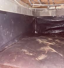How Much Is Atlanta Mold Removal