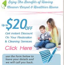 carpet cleaning home steam cleaners