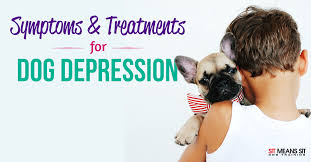 We did not find results for: Is My Dog Depressed Sit Means Sit Dog Training Atlanta