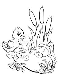 A pond is a body of standing water, either natural or artificial, that is usually smaller than. Little Cute Duckling Tries To Go To The Pond Stock Vector Illustration Of Farm Color 68720907