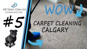 carpet cleaning in calgary you