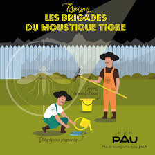 Ville de Pau - 🦟 Rejoignez les Brigades du moustique tigre... | Facebook
