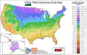 usda plant hardiness zone maps