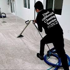 carpet upholstery tile cleaning by dani