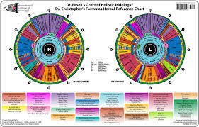 27 Memorable Iridology Chart Male