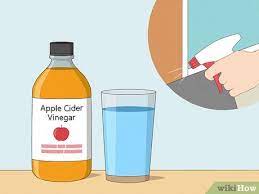 how to get rid of fleas in carpets 8