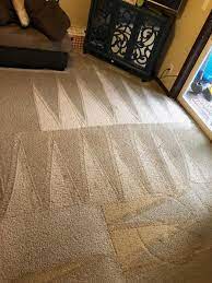 bellevue carpet cleaning instant