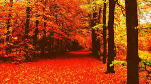 We did not find results for: Cozy Hd Autumn Wallpapers Wallpaper Cave