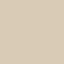 Toasted Almond T15 48 2 Paint Colour