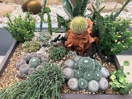 45 Cactus Garden Ideas