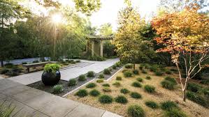 landscaping without grass