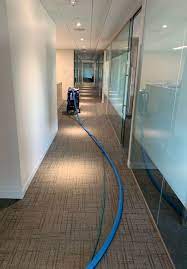 professional carpet cleaning in