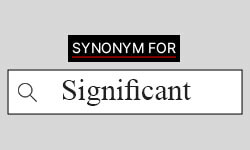 significant synonyms best synonyms