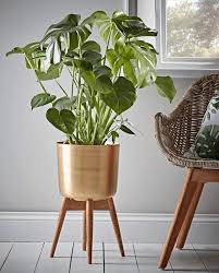 With one small and one large planter in each set, these gorgeous pieces will make the perfect home for. Epingle Par Peggy Carey Sur Modern Plant Stand Jardiniere Interieur Pot De Fleur Interieur Deco Plantes Interieur
