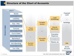 20 Images Chart Of Accounts In Sap