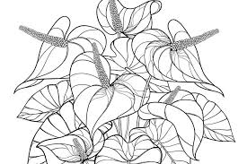 Free Printable Coloring Pages Of Plants